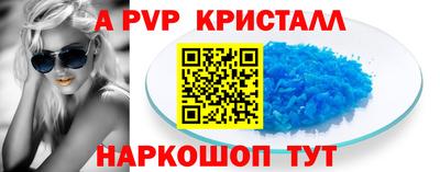 СК Кингисепп