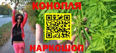 СК Кингисепп