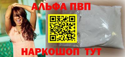 СК Кингисепп