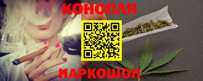 СК Кингисепп