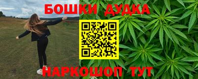 СК Кингисепп