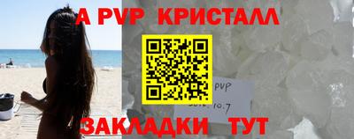СК Кингисепп