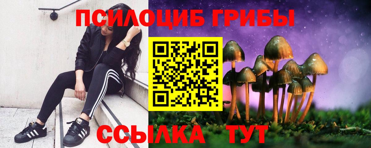 Галлюциногенные грибы Magic Shrooms Кострома